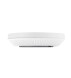 Точка доступа TP-Link Omada EAP613