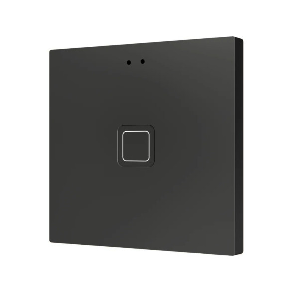 Выключатель Zennio Tecla RGB 1 (ZVITR1A) (Антрацит)