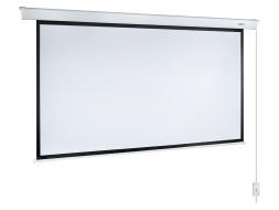 Проекционный экран Lumien Master Control LMC-100135 (162", 16:9)