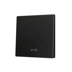 Клавиша для кнопки Zennio ZS55 ZS55CSOFT11KA (Антрацит, Ключ)