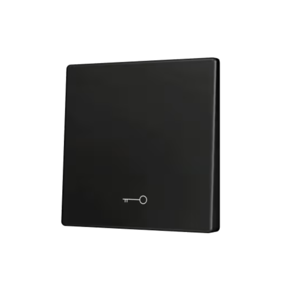 Клавиша для кнопки Zennio ZS55 ZS55CSOFT11KA (Антрацит, Ключ)