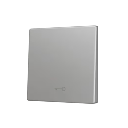Клавиша для кнопки Zennio ZS55 ZS55CSOFT11KS (Серебро, Ключ)