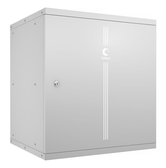 Шкаф телекоммуникационный Cabeus WSC-05D-12U55/45m (10181c)