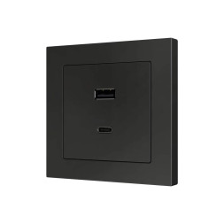 Накладка на USB-розетку Zennio ZS55 ZS55C2UCAA (Антрацит)