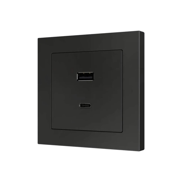 Накладка на USB-розетку Zennio ZS55 ZS55C2UCAA (Антрацит)