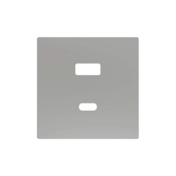 Накладка на USB-розетку Zennio ZS55 ZS55C2UCAS (Серебро)