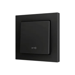 KNX-кнопка Zennio ZS55 ZS551PB1KA (Антрацит, Ключ)