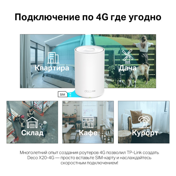 Сотовый маршрутизатор TP-Link Deco X50-4G