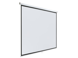 Проекционный экран Lumien Eco Picture LEP-100110 (119", 1:1)