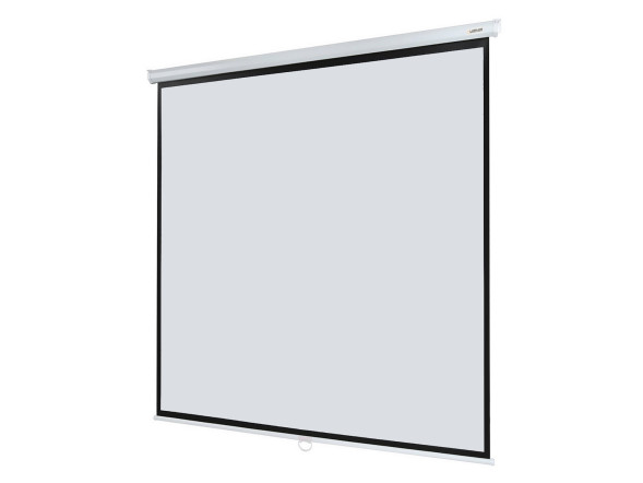 Проекционный экран Lumien Eco Picture LEP-100110 (119", 1:1)
